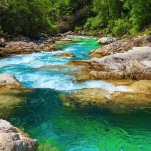 L’Isonzo-Soča nel suo alto corso, in un’intatta natura alpina.