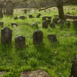 Ancora uno scorcio del cimitero ebraico di Valdirose, un tempo incluso nella città di Gorizia.